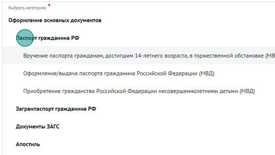 Screenshot of: Выберите "Паспорт гражданина РФ".