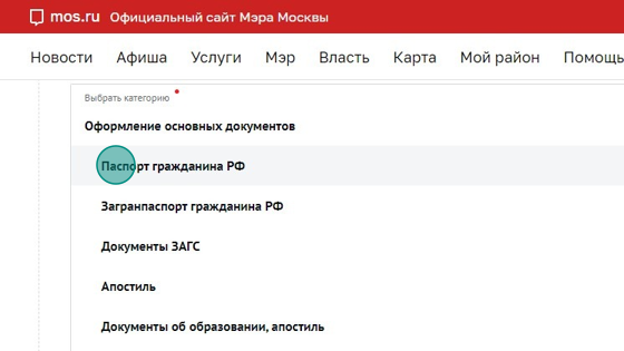 Screenshot of: Выберите "Паспорт гражданина РФ".