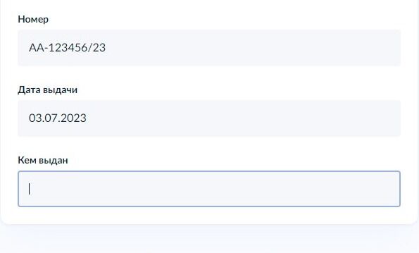 Screenshot of: Укажите, кем выдан документ. 