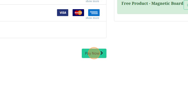 Screenshot of: Click "Pay Now"