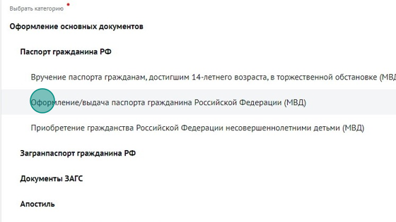 Screenshot of: Выберите "Оформление/выдача паспорта гражданина Российской Федерации (МВД)".