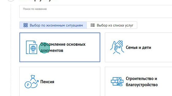 Screenshot of: Выберите услугу "Оформление основных документов".