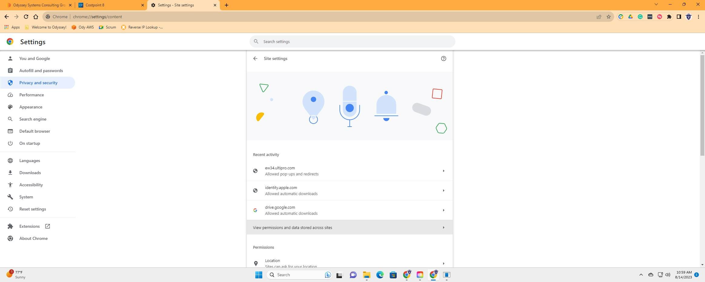Screenshot of: Click "View permissions and data stored across sites"