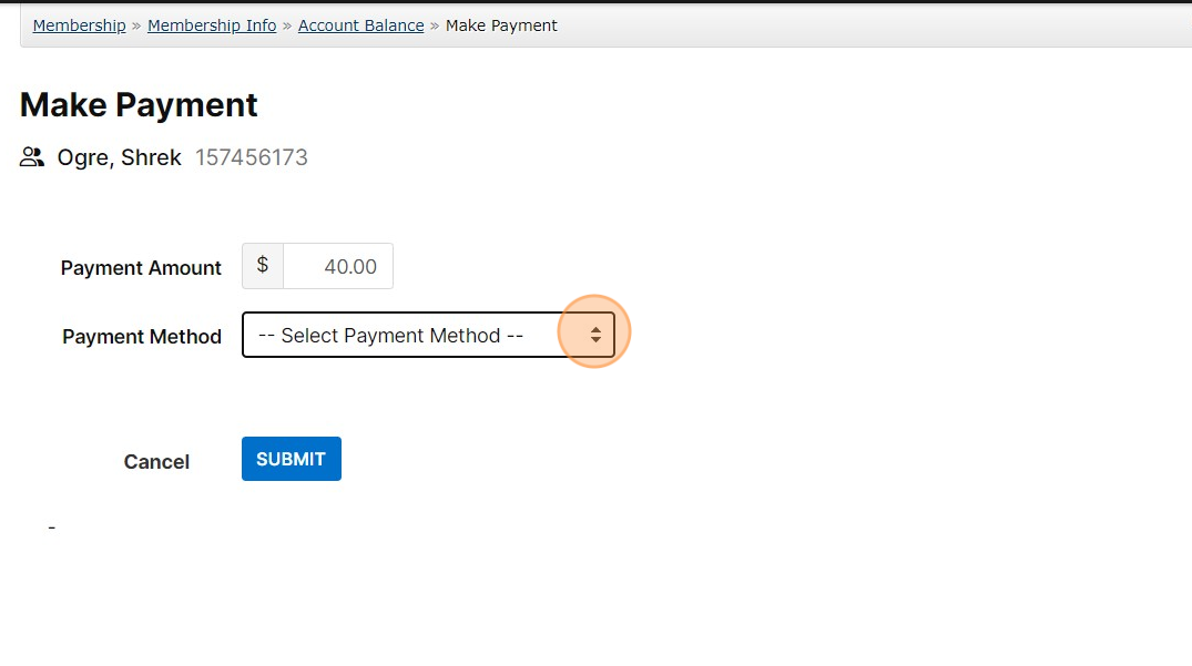 Screenshot of: Select a payment method for use