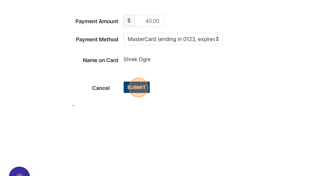 Screenshot of: Submit the payment