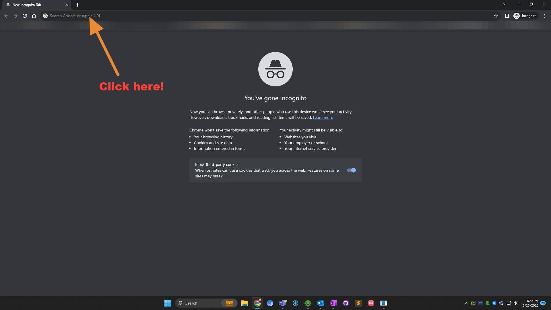Screenshot of: Click into the "Address / search bar"