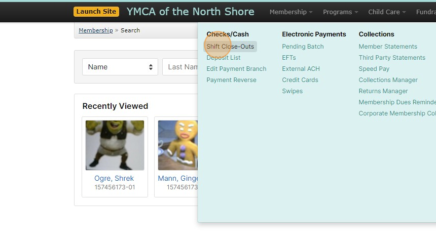 Screenshot of: Under Checks/Cash select 