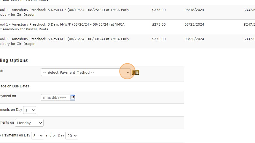 Screenshot of: From here you can schedule payments, monthly, weekly or on specific days. 