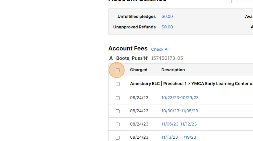 Screenshot of: Select all payments available with the blue check boxes