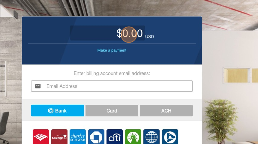 Screenshot of: Enter the amount you are paying.
