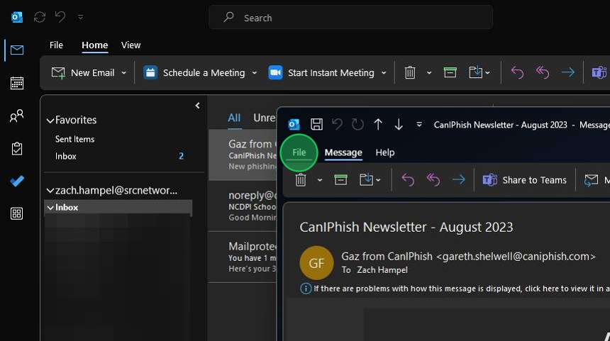 Screenshot of: Once its open click file