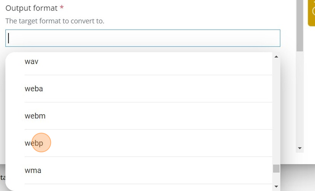 Screenshot of: Select "Output format" from the dropdown field.