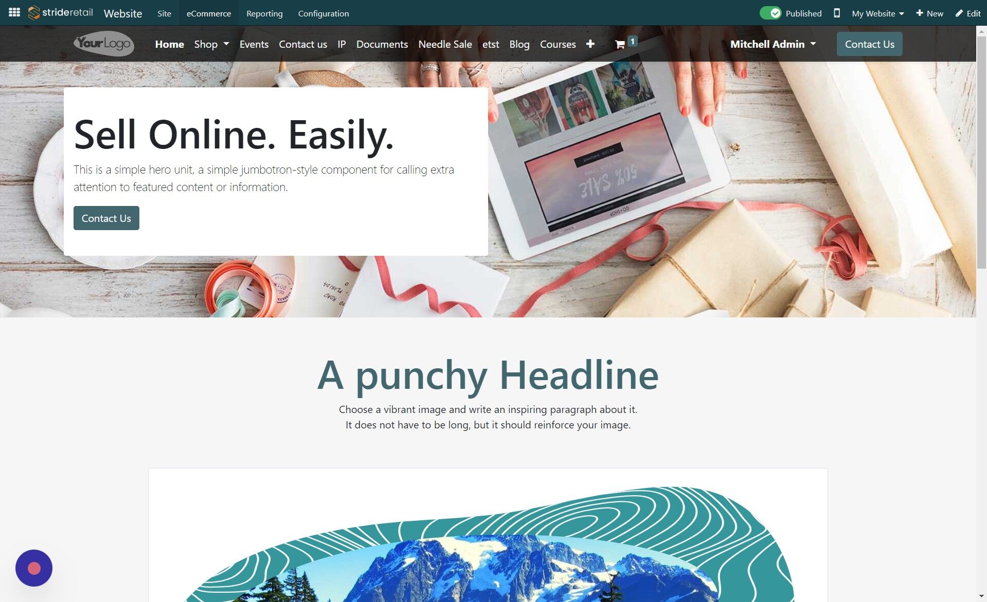 Screenshot of: Click "eCommerce"