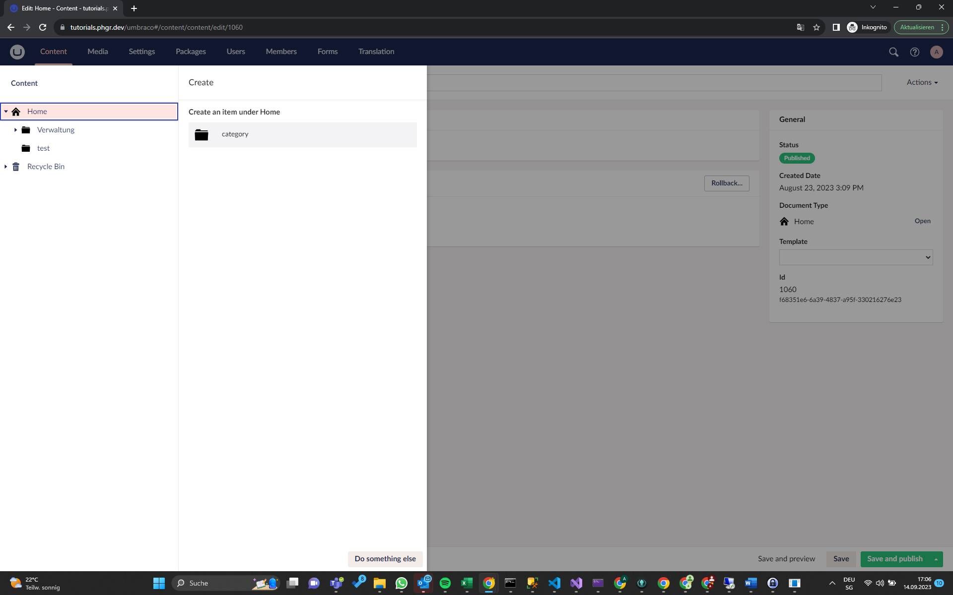 Screenshot of: "category" auswählen