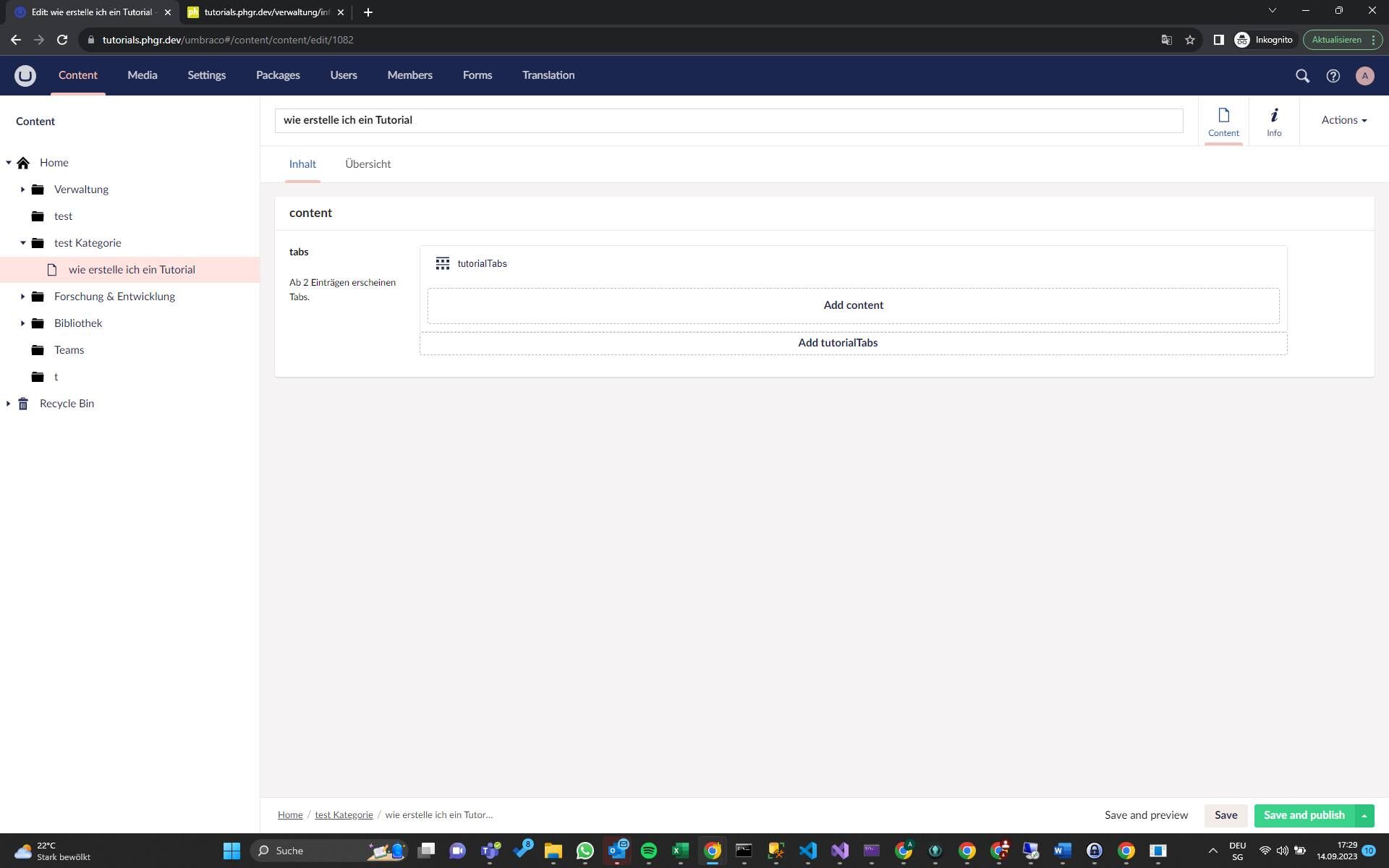 Screenshot of: Tutorial speichern und veröffentlichen