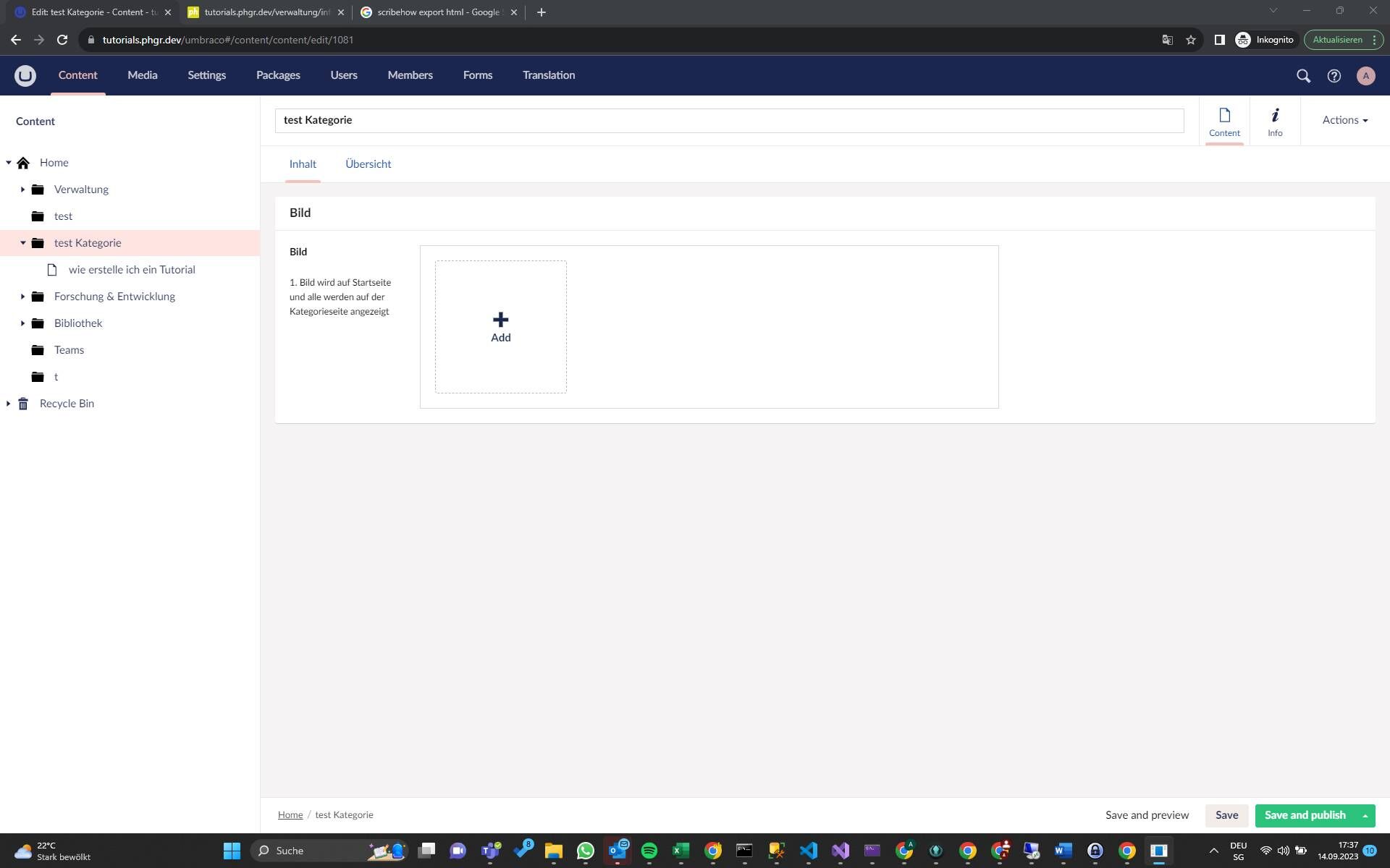 Screenshot of: Auf der Kategorie oder dem Tutorial auf den Reiter "Übersicht" klicken
