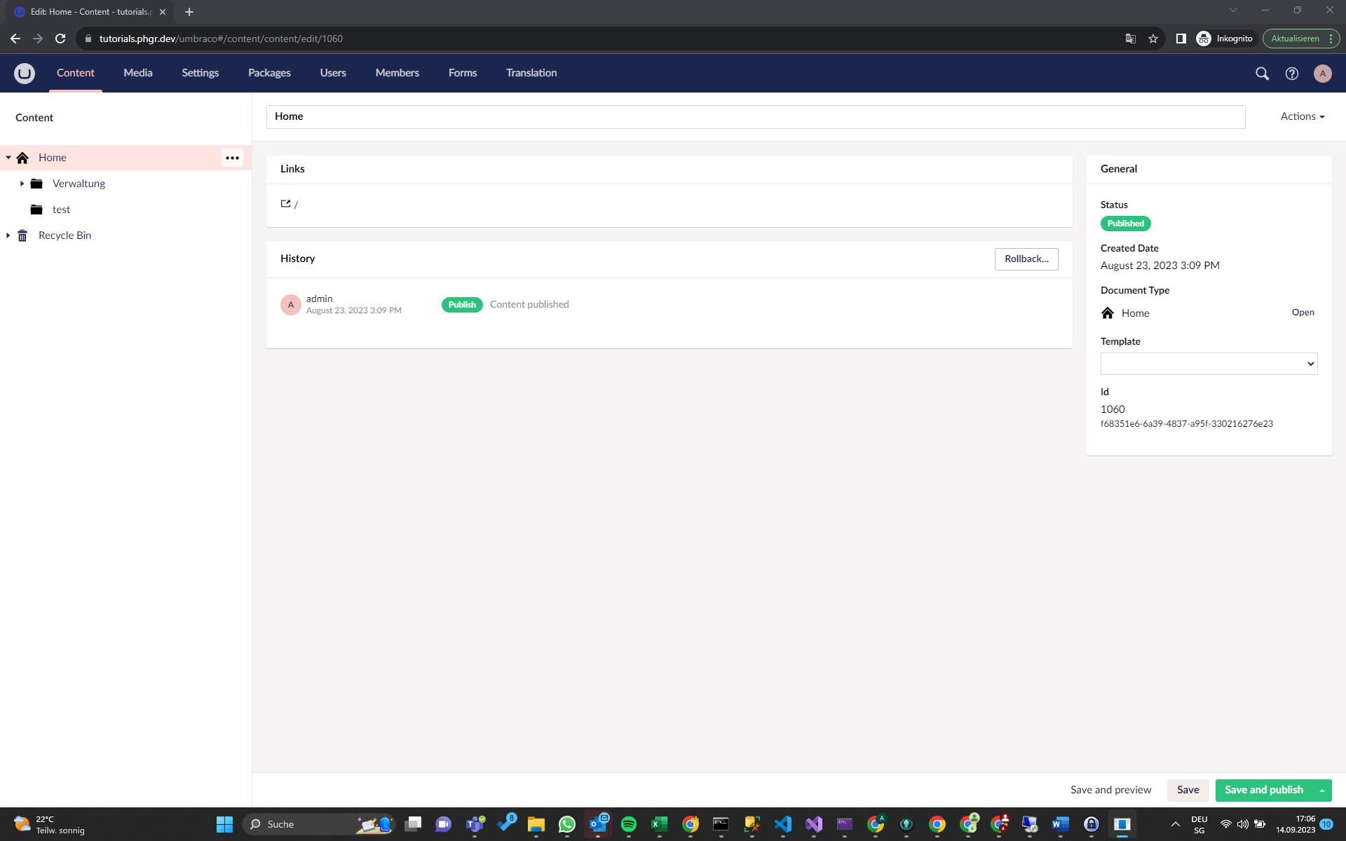 Screenshot of: Auf die drei Punkte neben Home klicken