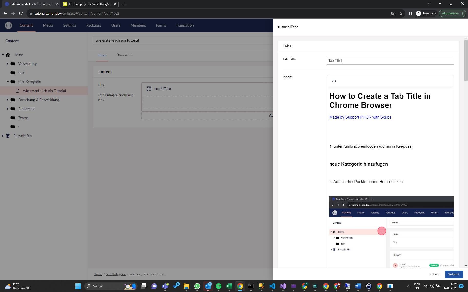 Screenshot of: Tab speichern (ggf. noch Titel und footer von Scribehow löschen, kann im normalen editor einfach entfernt werden)