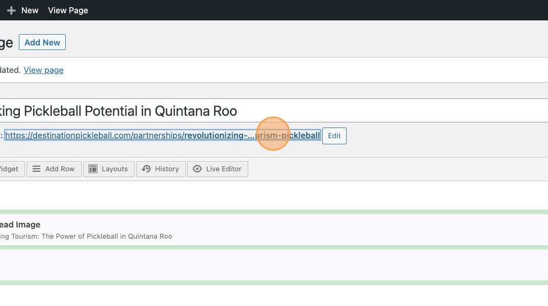 Screenshot of: Click on the link below the title to open a front-end view of your changes.