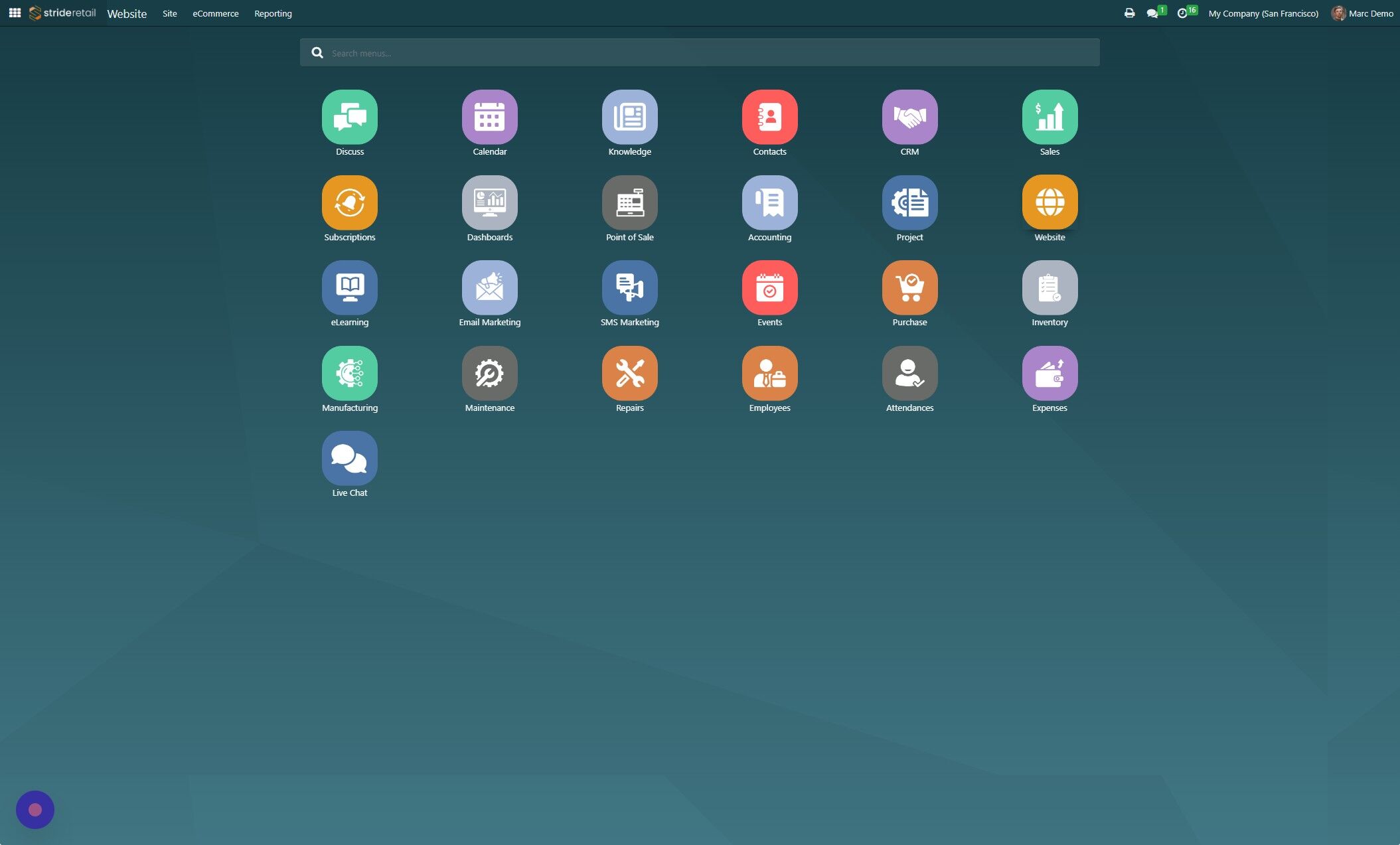 Screenshot of: Navigate to the "Website" module