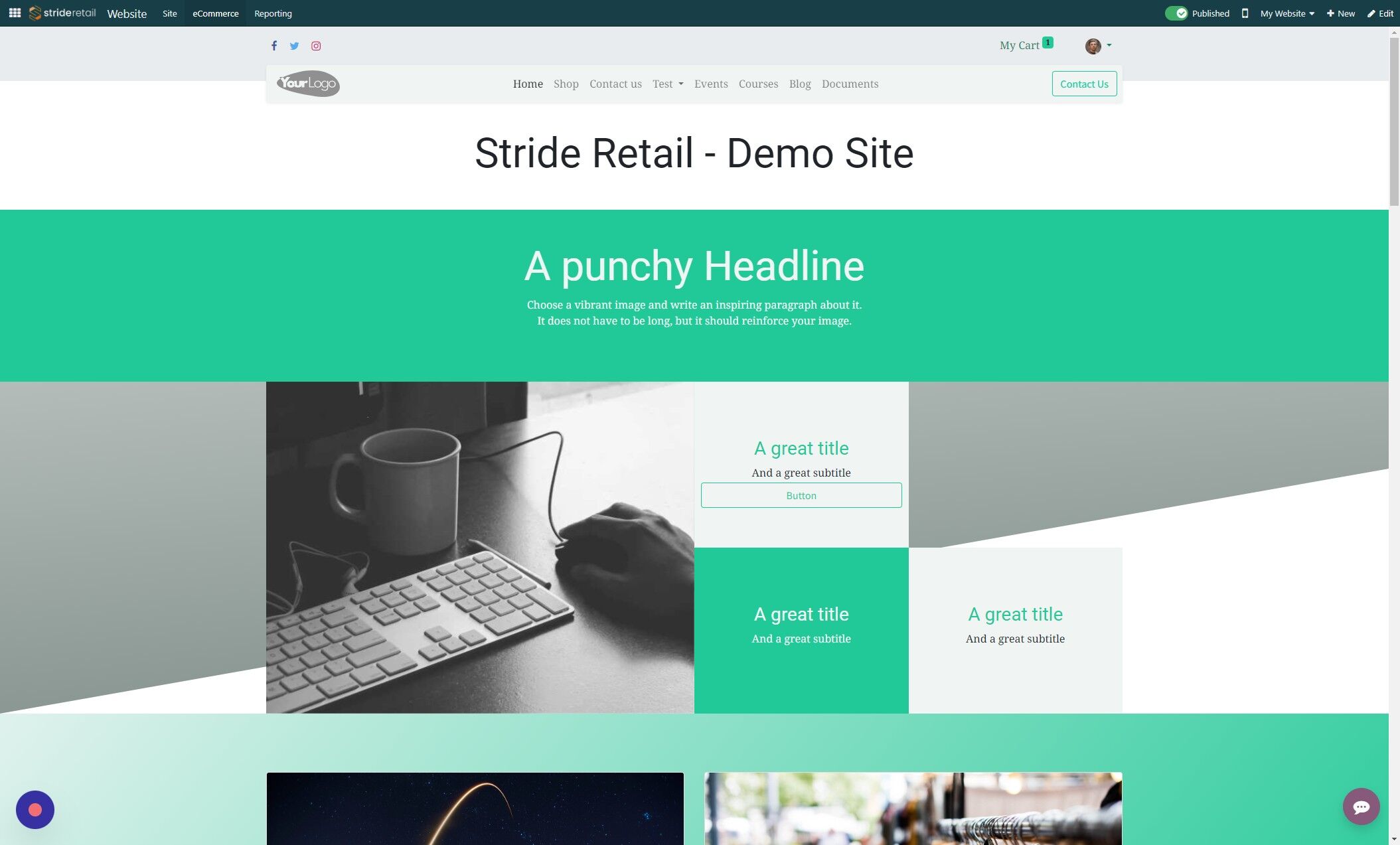 Screenshot of: Click "eCommerce"