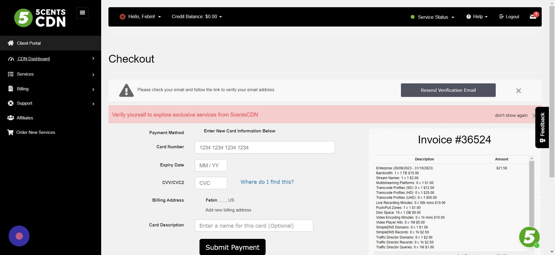 Screenshot of: Once the payment is completed, you can click Client Portal