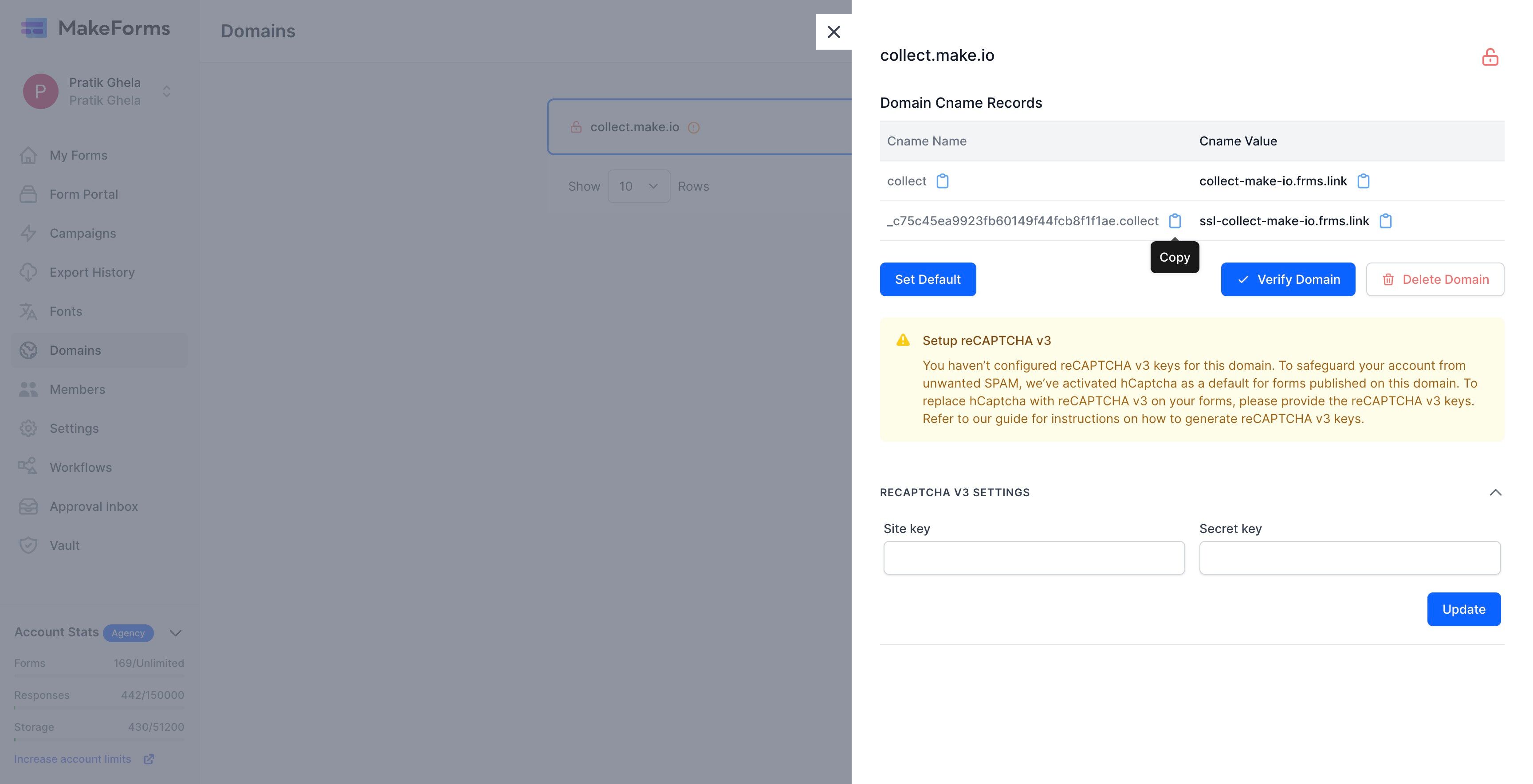 Screenshot of: Similarly copy the values for second CName record