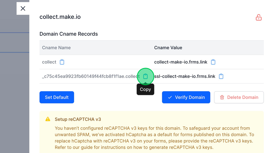 Screenshot of: Similarly copy the values for second CName record