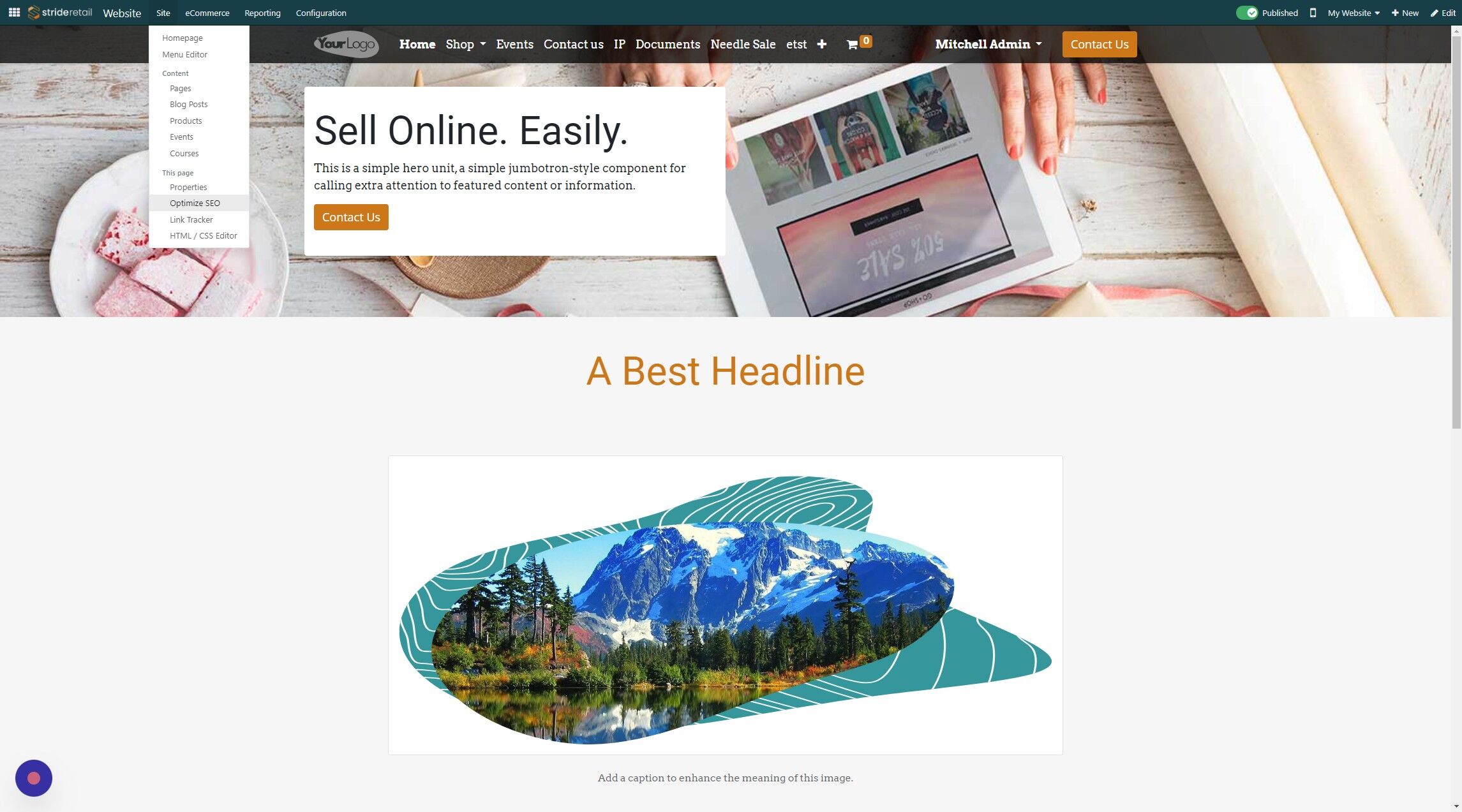 Screenshot of: Click "Optimize SEO"