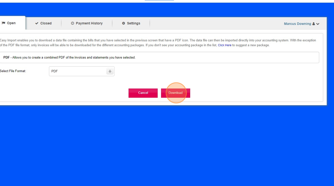 Download PDF