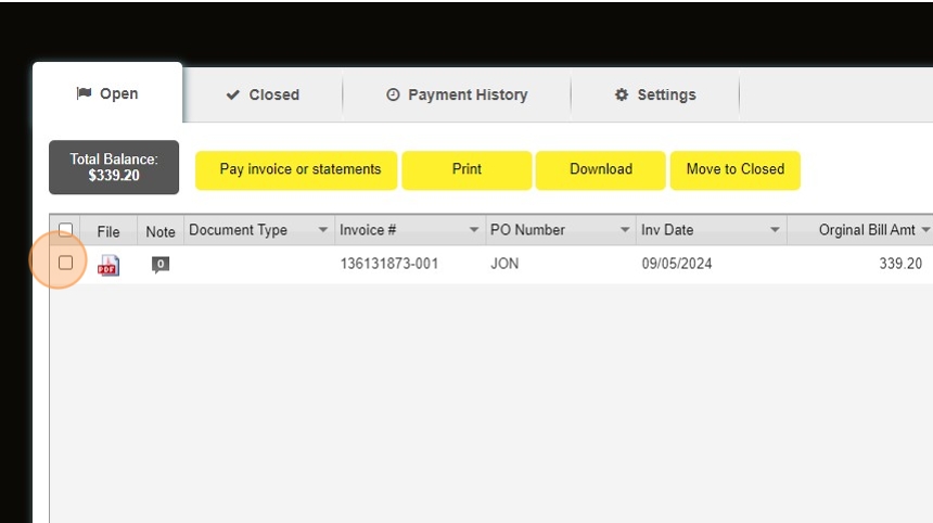 Screenshot showing invoice selection checkboxes