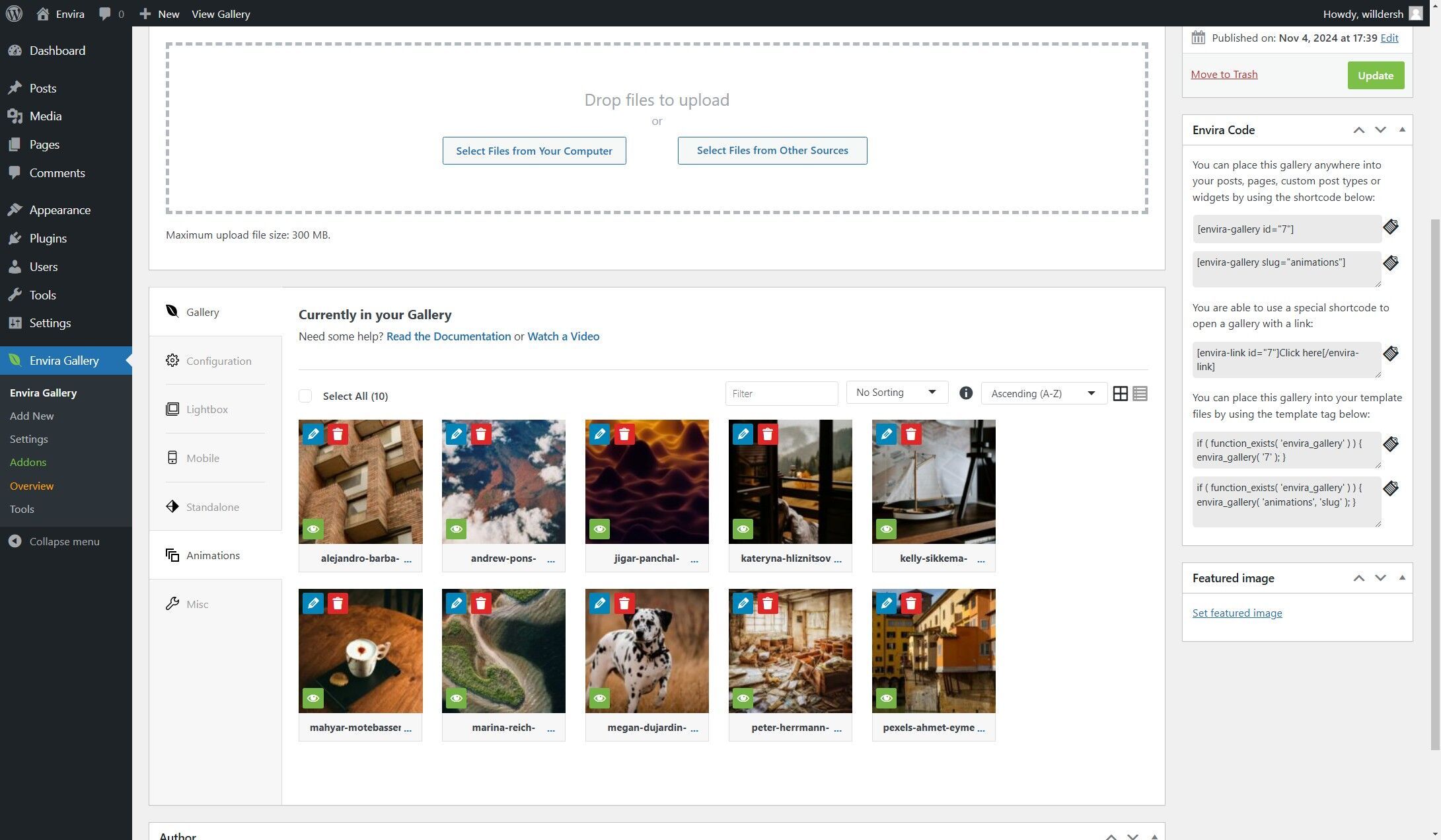 animations tab