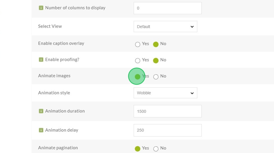 enable image animations