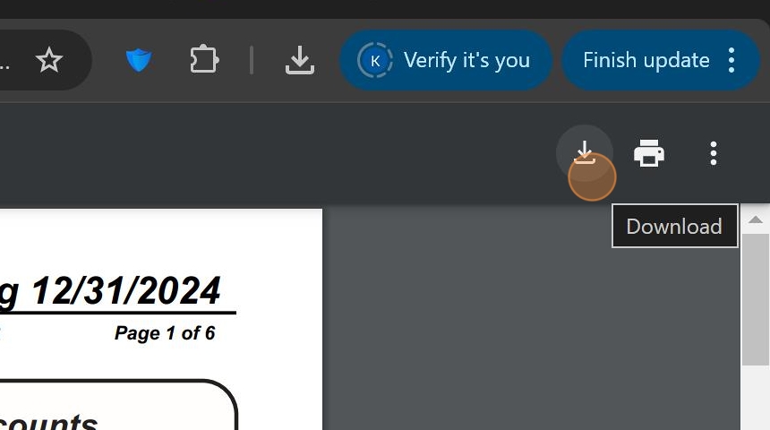 Screenshot showing download button for statement