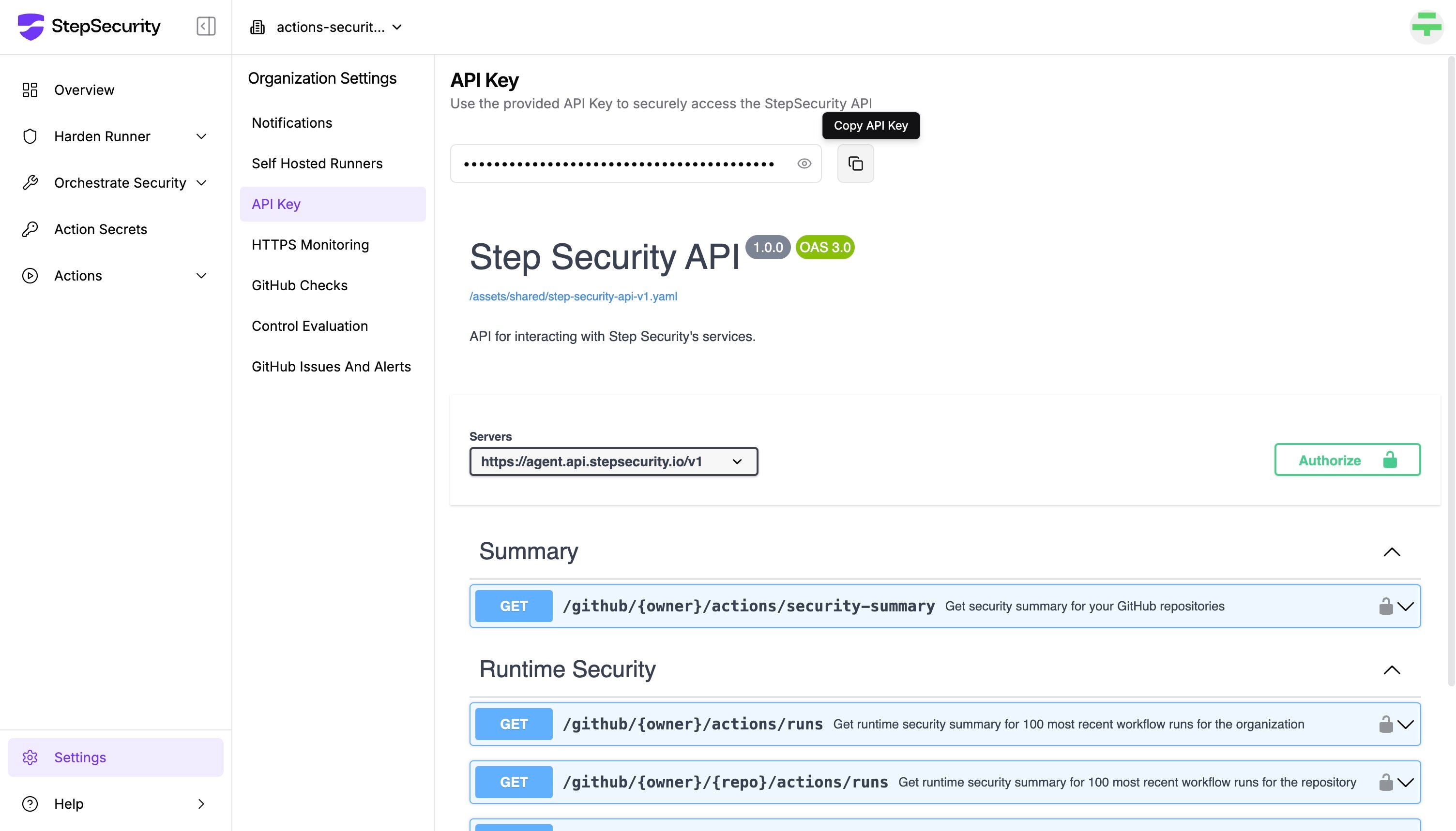 API settings showing Swagger documentation