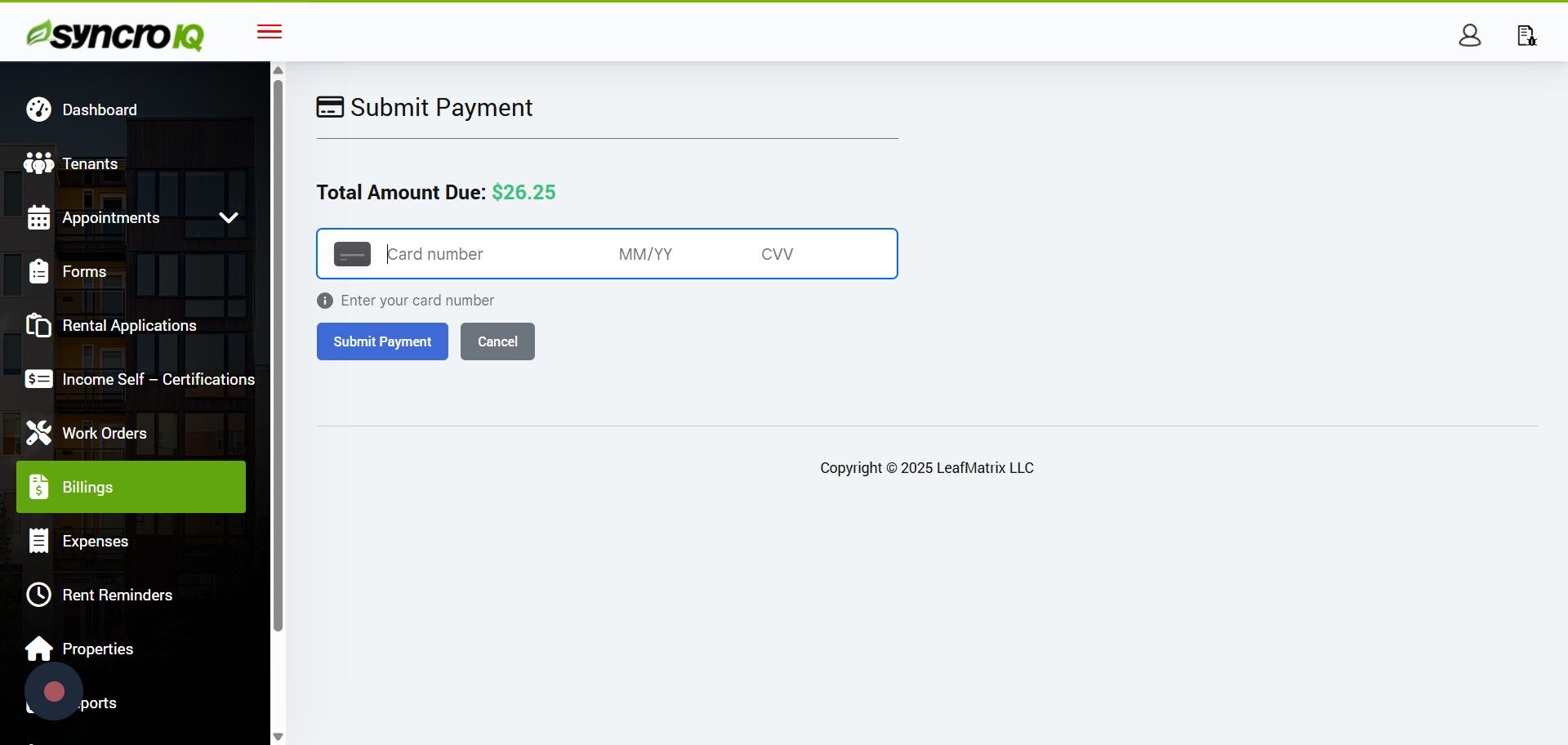 Enter card details for the payment