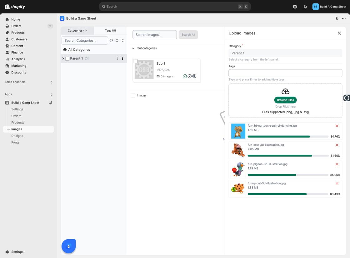 Uploaded Images Display