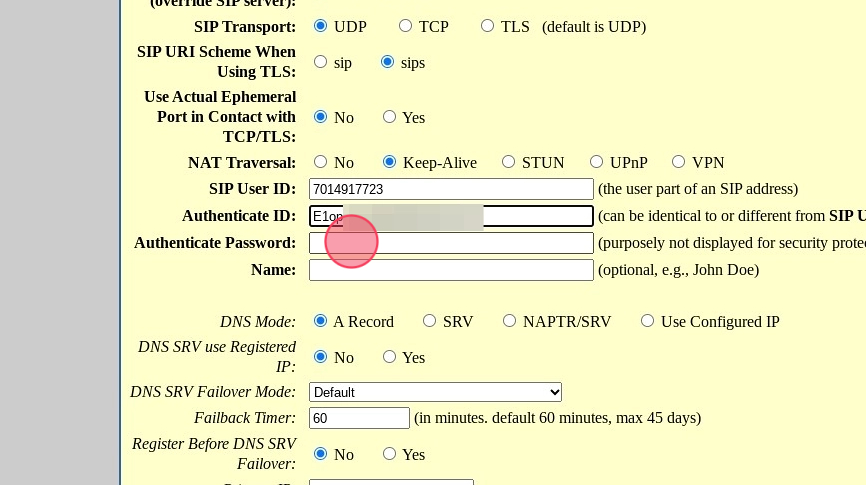 location to paste password in grandstream