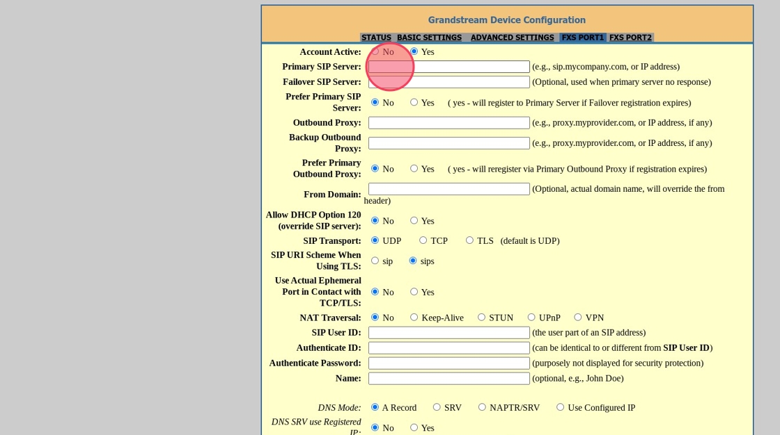 primary sip server field in the voxtelesys portal