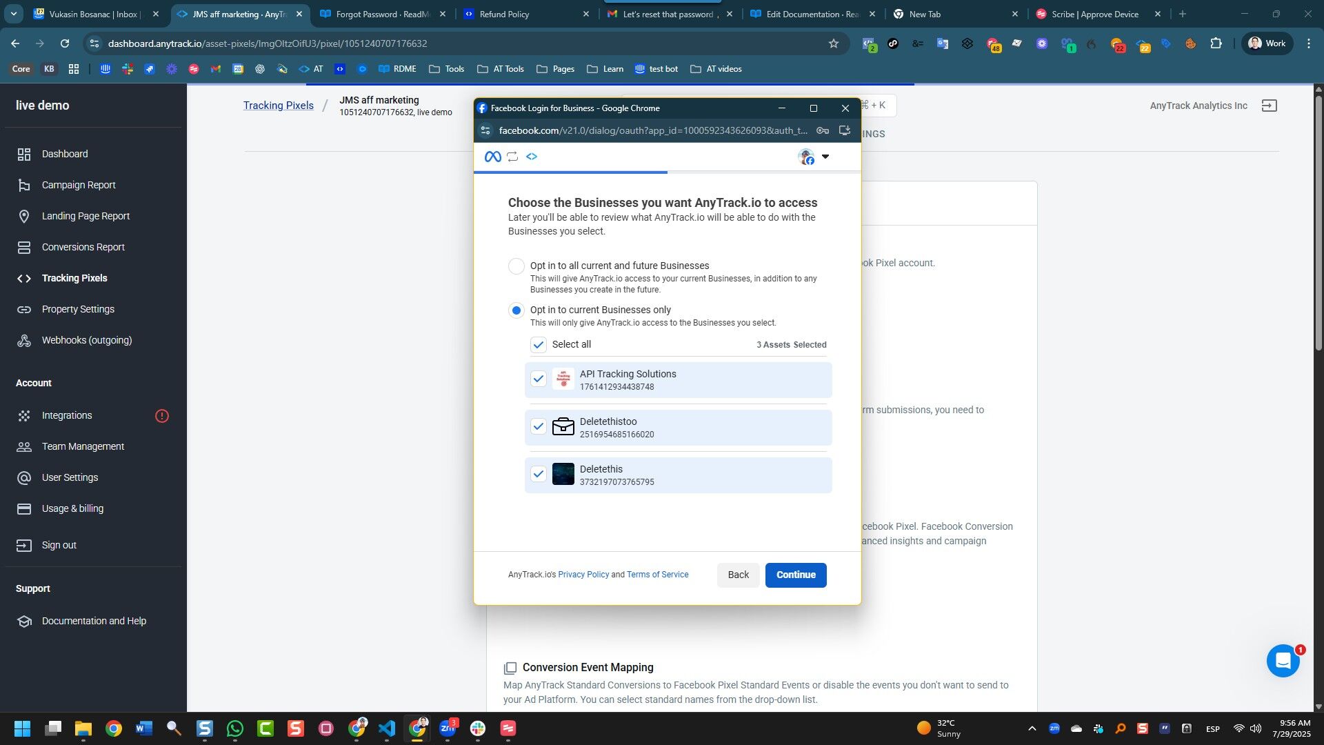 choose the fb business(es) and continue