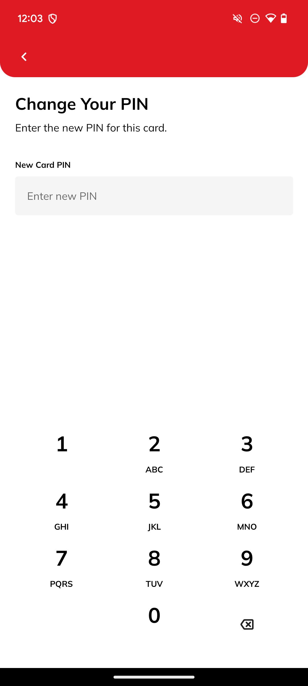 Enter new PIN screenshot