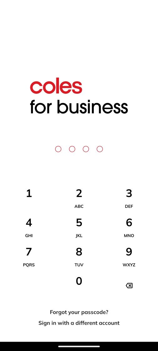 Login passcode screen