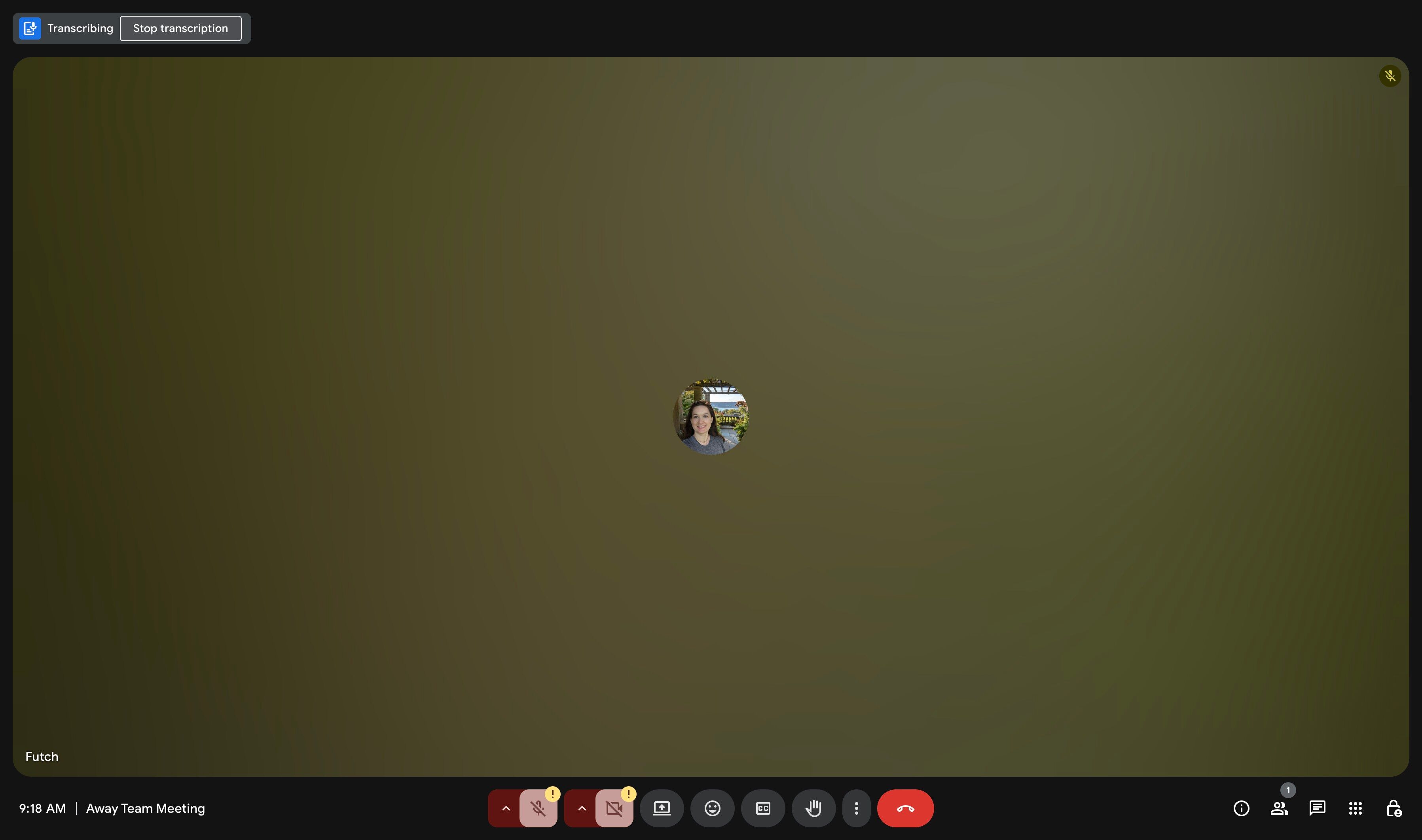 Stop Transcription Button