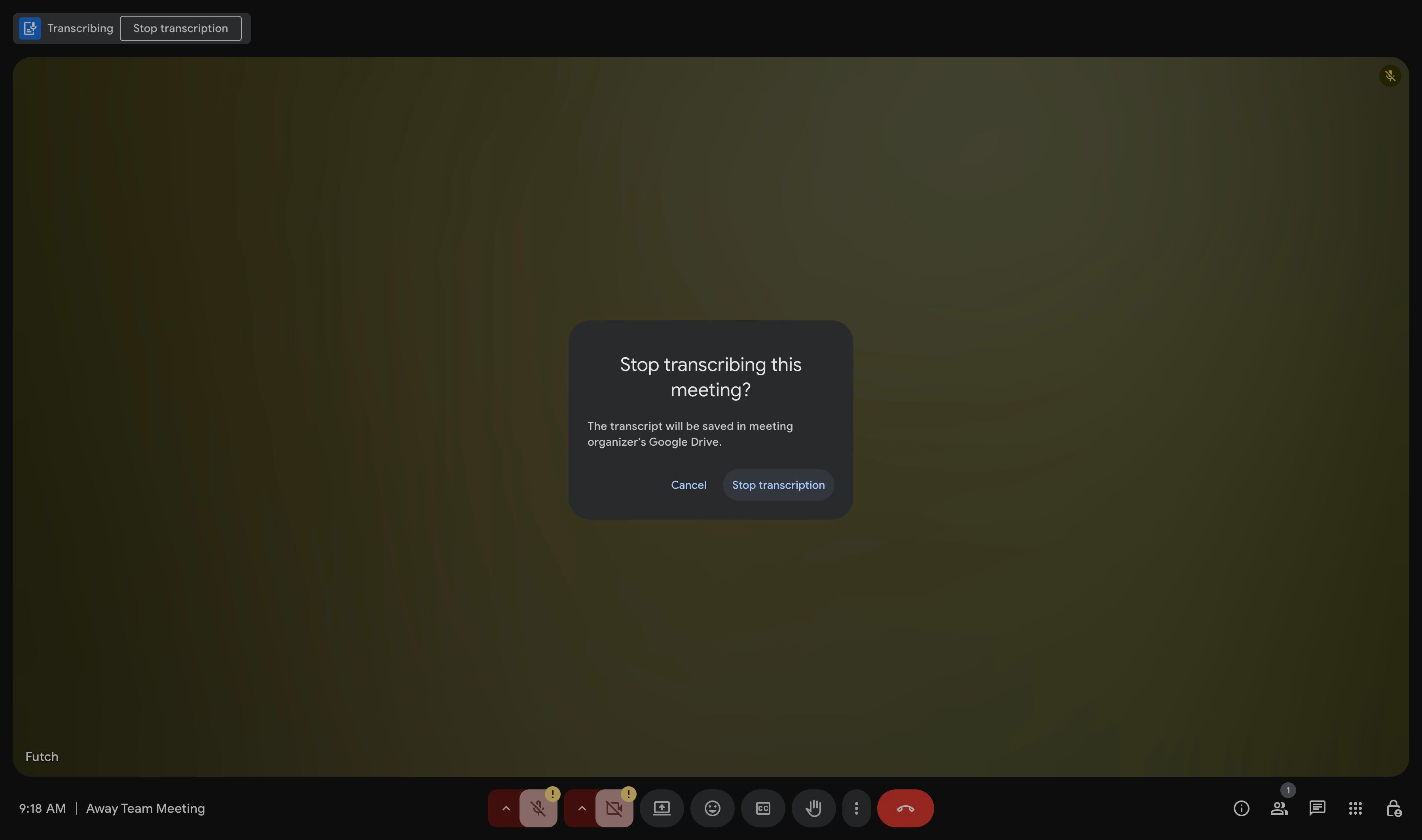Confirmation to stop transcription