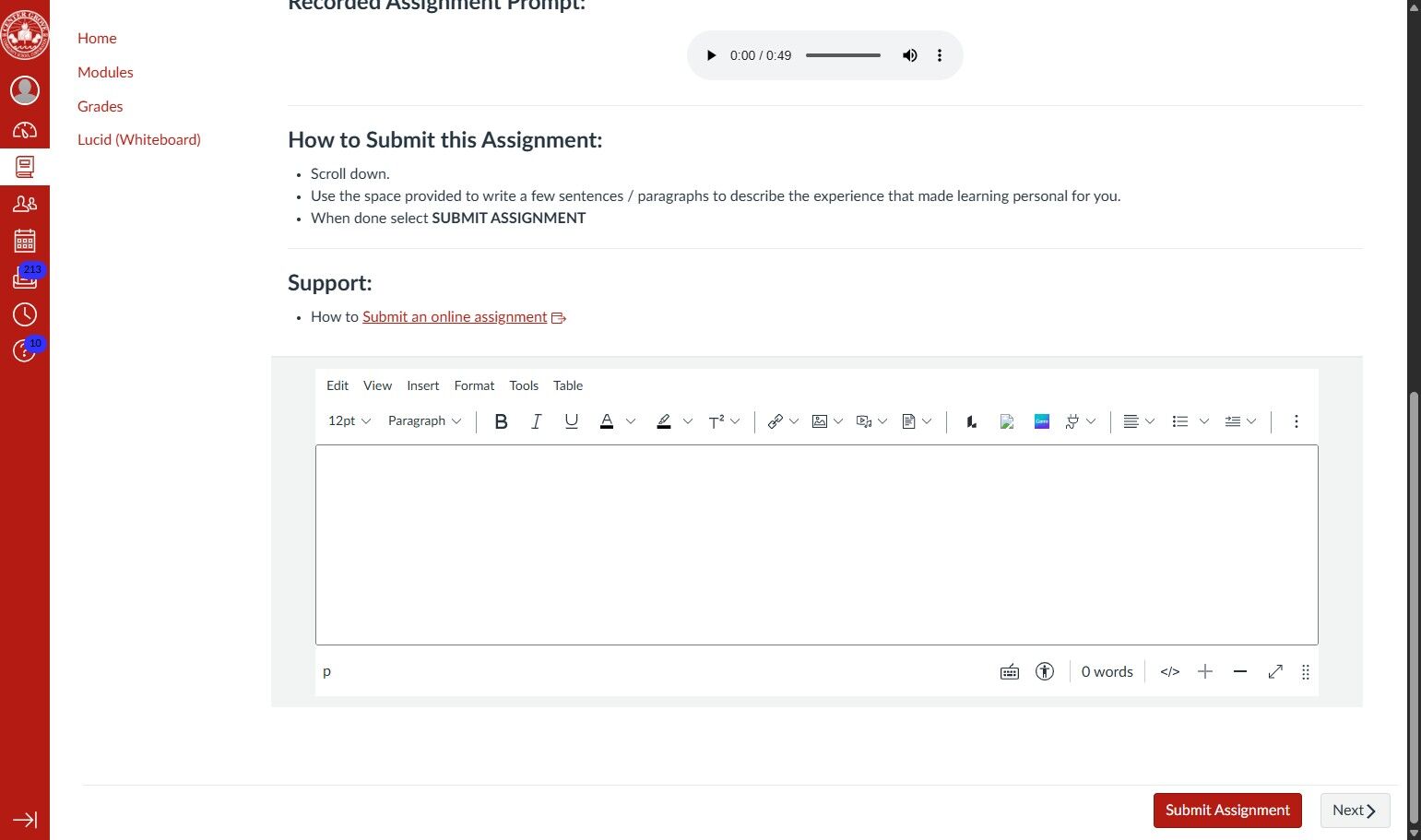Online assignment submission page with text instructions and a writing area. A red "Submit Assignment" button is at the bottom right. Navigation menu on the left.