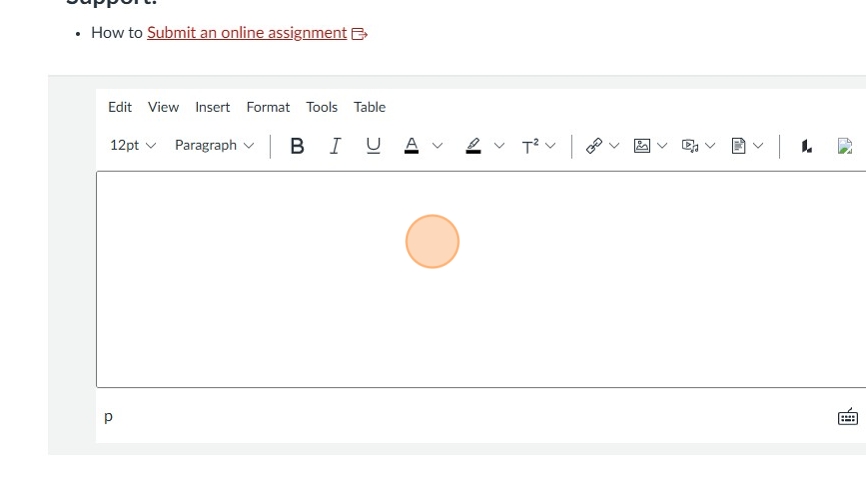 Online assignment submission page with text instructions and a writing area. A red "Submit Assignment" button is at the bottom right. Navigation menu on the left.
