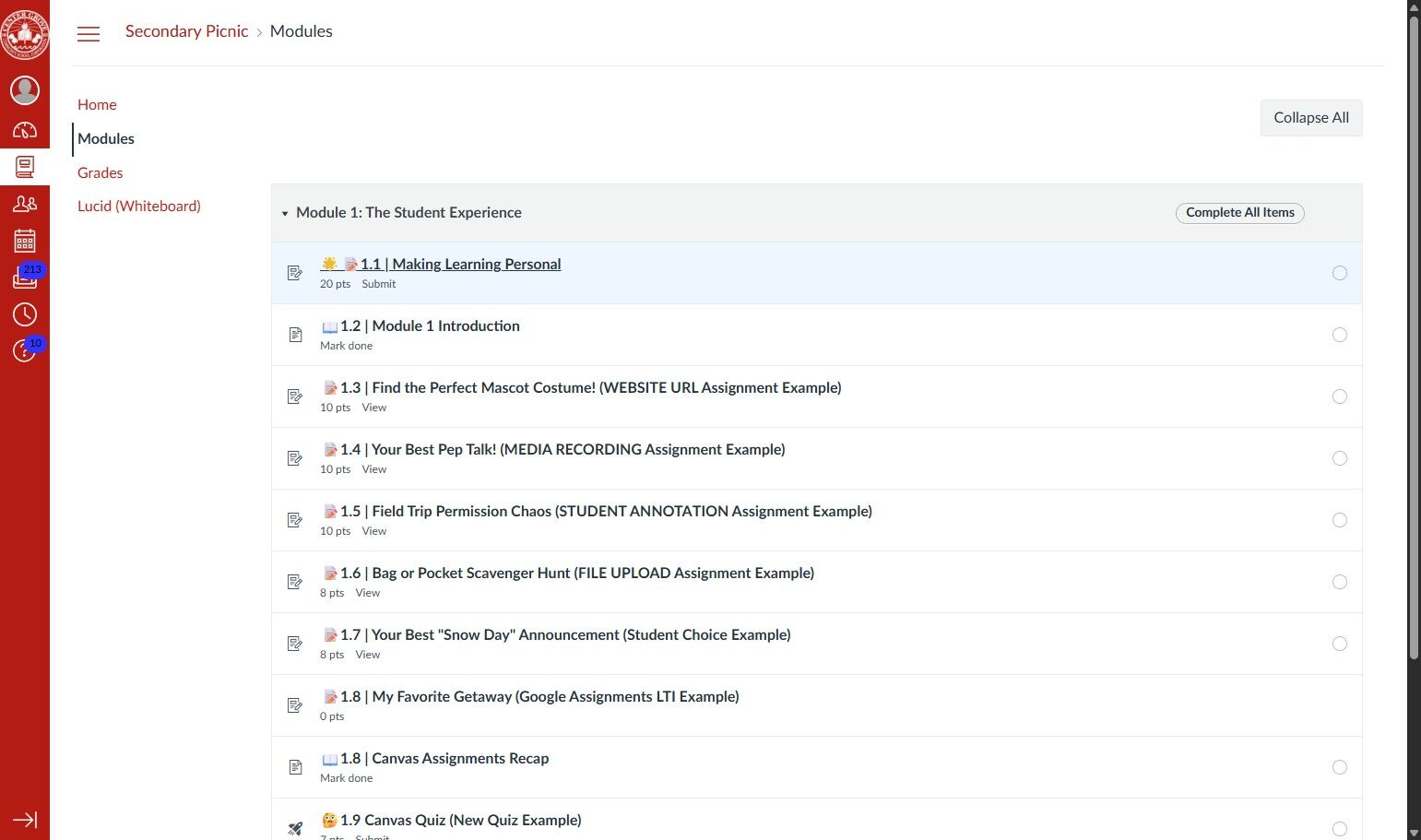 Screenshot of an online classroom module interface titled 'The Student Experience.'
