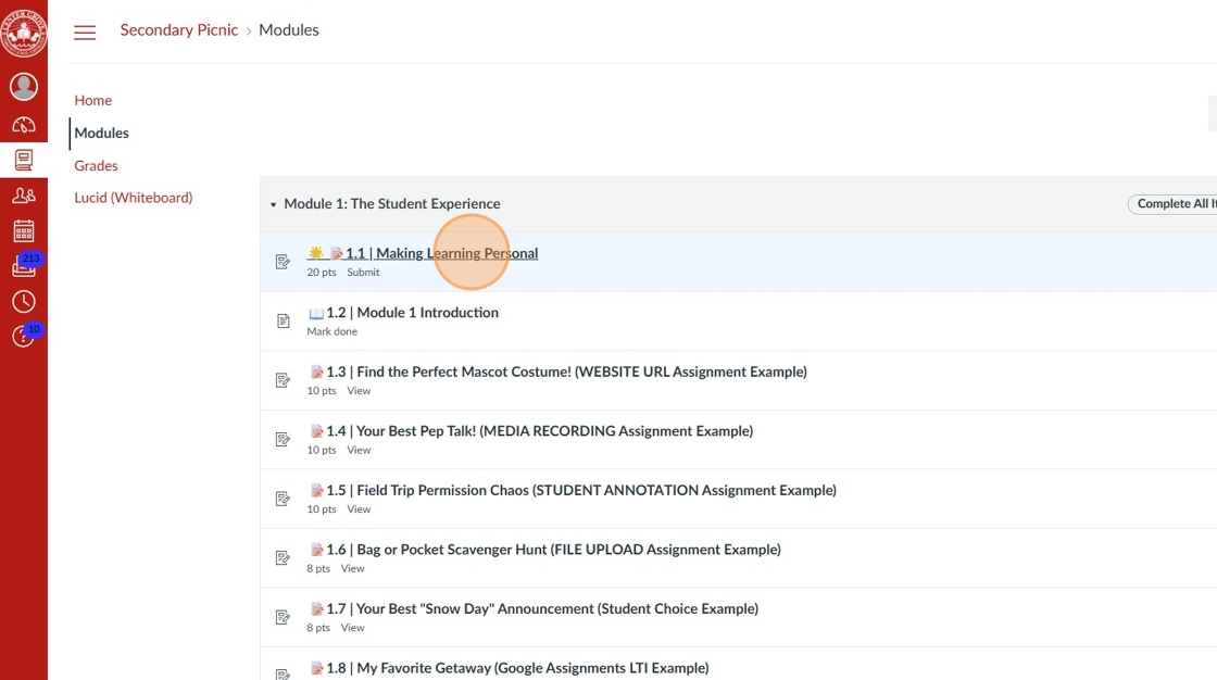 Screenshot of an online classroom module interface titled 'The Student Experience.'