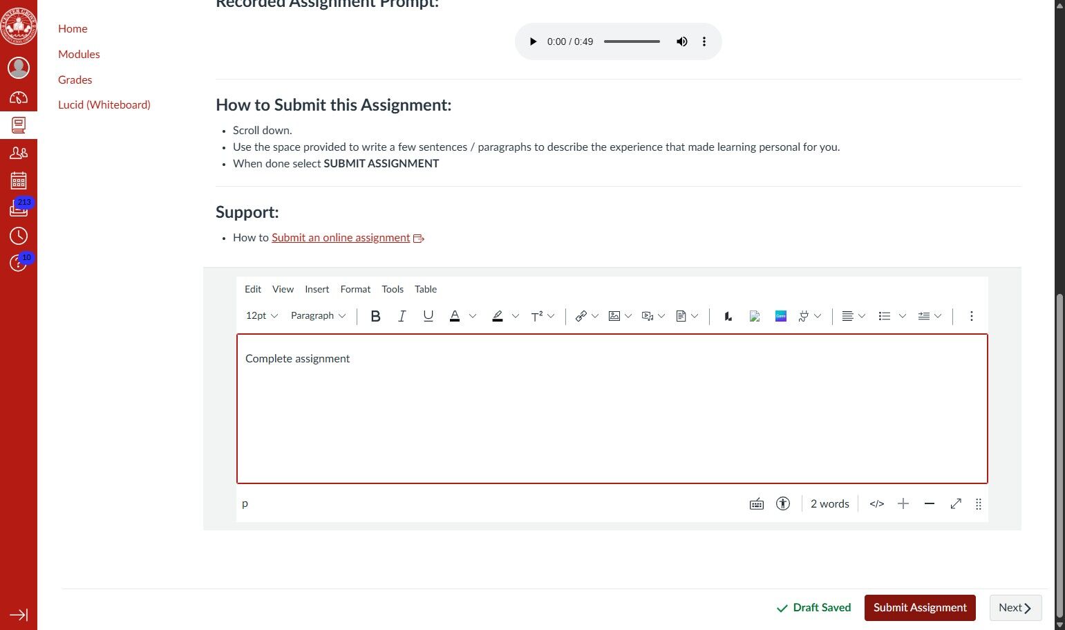 Online assignment submission page with text instructions and a writing area. A red "Submit Assignment" button is at the bottom right. Navigation menu on the left.
