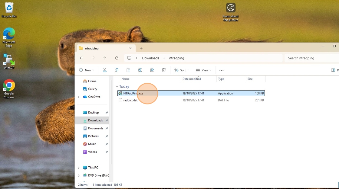 Download and run NTRadPing (Radius testing tool)